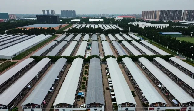 课程资源开发中教育咨询的常见问题与应对策略